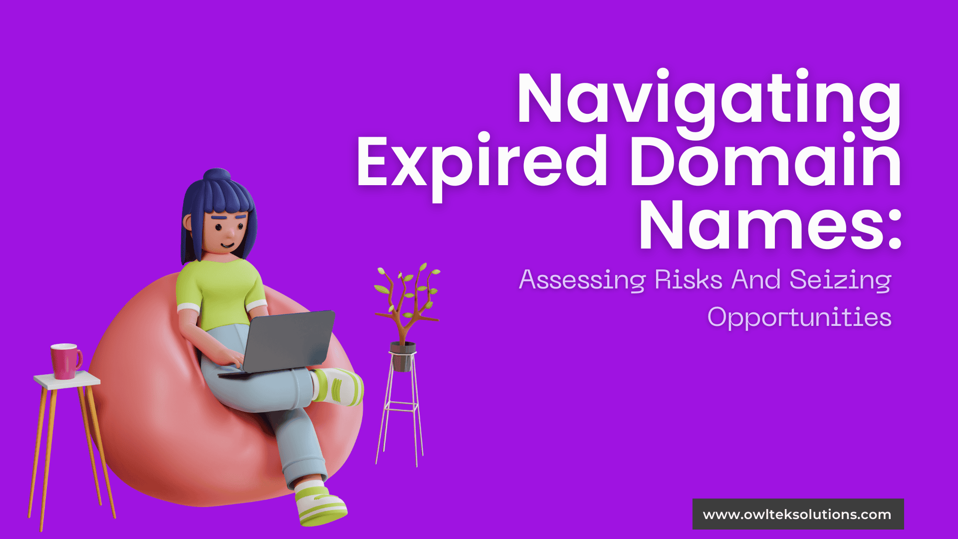 Navigating Expired Domain Names: